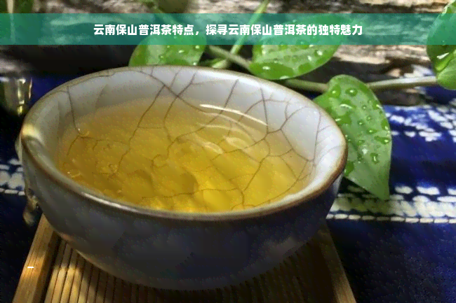 云南保山普洱茶特点，探寻云南保山普洱茶的独特魅力