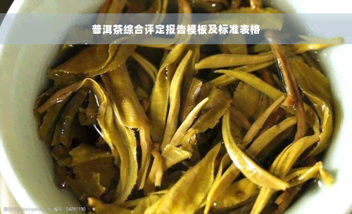 普洱茶综合评定报告模板及标准表格