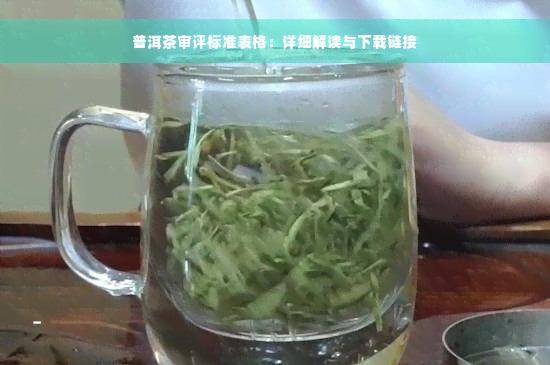 普洱茶审评标准表格：详细解读与下载链接