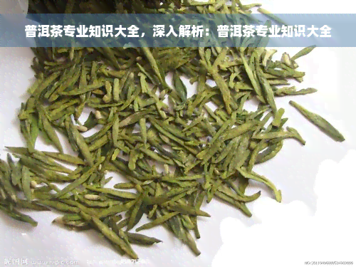 普洱茶专业知识大全，深入解析：普洱茶专业知识大全