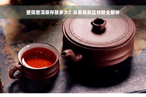 整筒普洱茶存放多久？从新茶到品饮期全解析