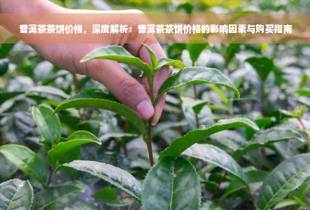 普洱茶茶饼价格，深度解析：普洱茶茶饼价格的影响因素与购买指南