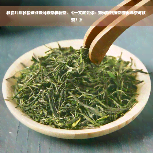 教你几招轻松鉴别普洱春茶和秋茶，《一文教会你：如何轻松鉴别普洱春茶与秋茶？》