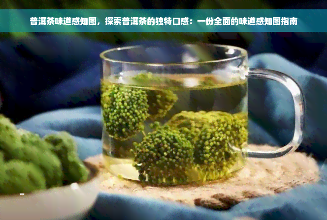 普洱茶味道感知图，探索普洱茶的独特口感：一份全面的味道感知图指南