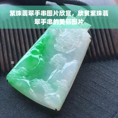 紫珠翡翠手串图片欣赏，欣赏紫珠翡翠手串的美丽图片