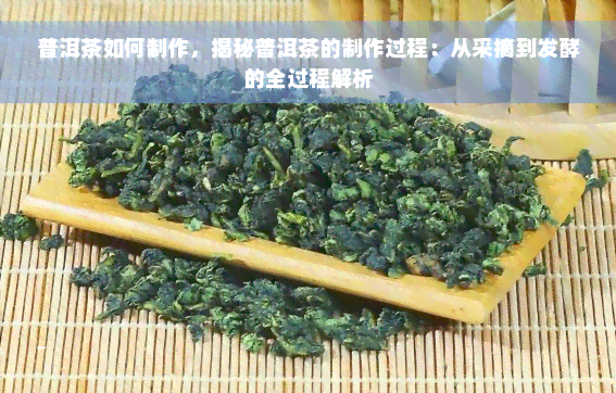 普洱茶如何制作，揭秘普洱茶的制作过程：从采摘到发酵的全过程解析