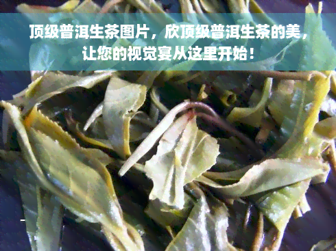 顶级普洱生茶图片，欣顶级普洱生茶的美，让您的视觉宴从这里开始！