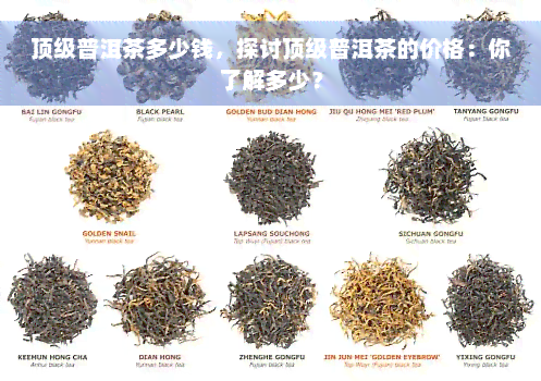 顶级普洱茶多少钱，探讨顶级普洱茶的价格：你了解多少？