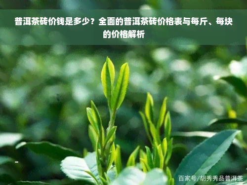 普洱茶砖价钱是多少？全面的普洱茶砖价格表与每斤、每块的价格解析