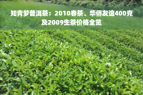 知青梦普洱茶：2010春茶、华侨友谊400克及2009生茶价格全览