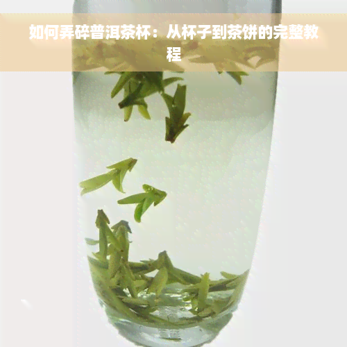 如何弄碎普洱茶杯：从杯子到茶饼的完整教程