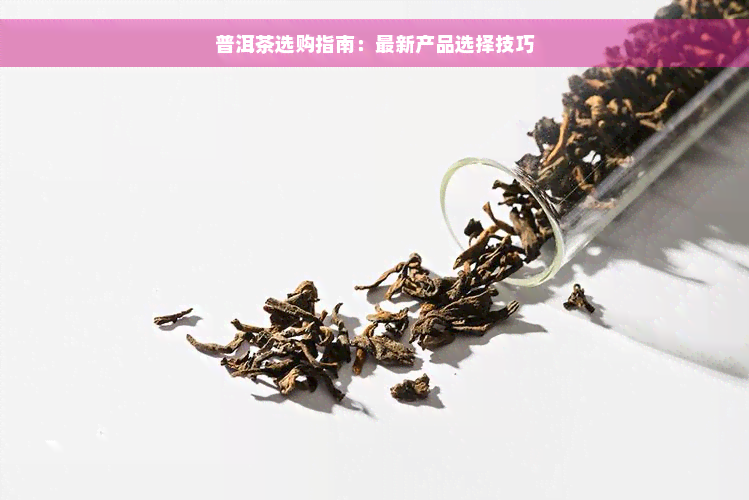 普洱茶选购指南：最新产品选择技巧