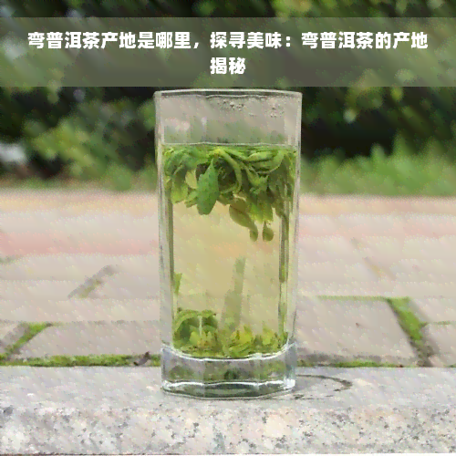 弯普洱茶产地是哪里，探寻美味：弯普洱茶的产地揭秘