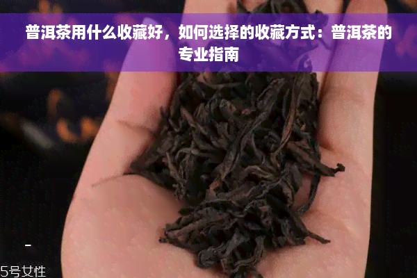 普洱茶用什么收藏好，如何选择的收藏方式：普洱茶的专业指南