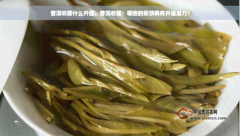 普洱收藏什么升值，普洱收藏：哪些的茶饼具有升值潜力？