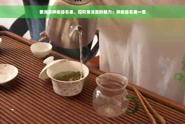 普洱茶种类排名表，探究普洱茶的魅力：种类排名表一览