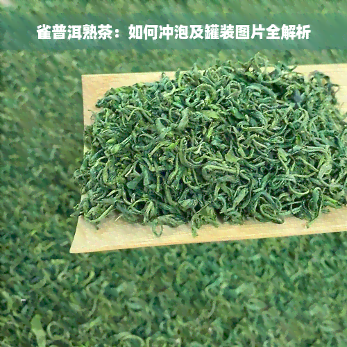 雀普洱熟茶：如何冲泡及罐装图片全解析