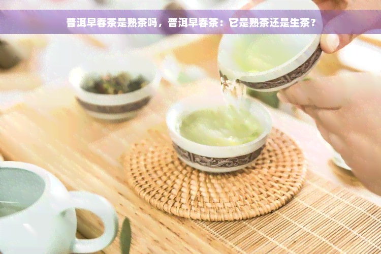 普洱早春茶是熟茶吗，普洱早春茶：它是熟茶还是生茶？