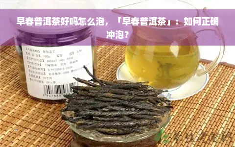 早春普洱茶好吗怎么泡，「早春普洱茶」：如何正确冲泡？