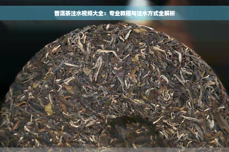 普洱茶注水视频大全：专业教程与注水方式全解析