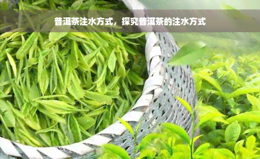 普洱茶注水方式，探究普洱茶的注水方式