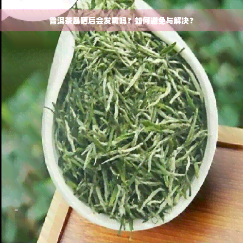 普洱茶暴晒后会发霉吗？如何避免与解决？