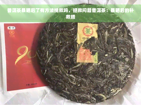 普洱茶暴晒后了有方法挽救吗，拯救问题普洱茶：暴晒后的补救措