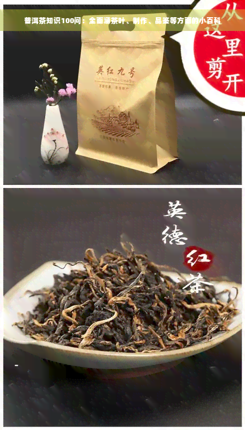 普洱茶知识100问：全面涵茶叶、制作、品鉴等方面的小百科