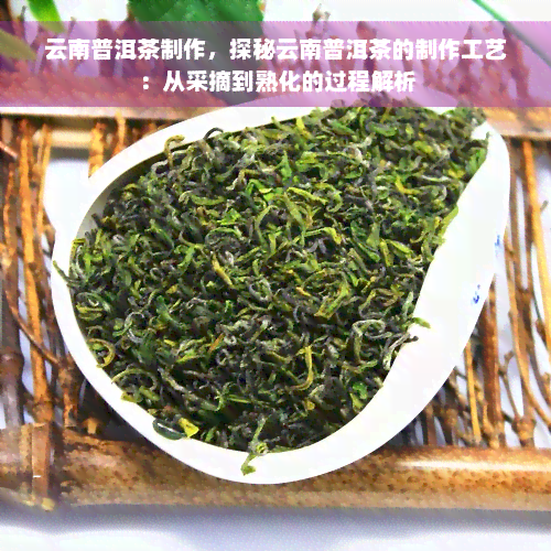 云南普洱茶制作，探秘云南普洱茶的制作工艺：从采摘到熟化的过程解析