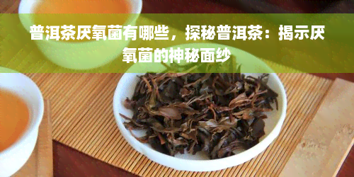 普洱茶厌氧菌有哪些，探秘普洱茶：揭示厌氧菌的神秘面纱