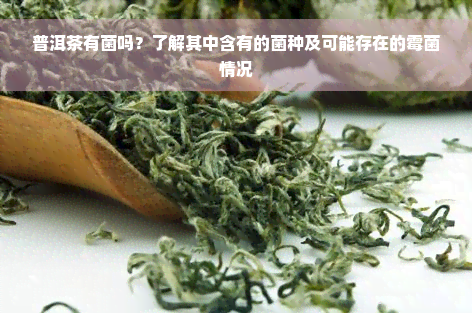 普洱茶有菌吗？了解其中含有的菌种及可能存在的霉菌情况