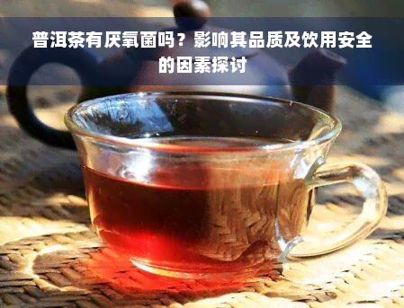 普洱茶有厌氧菌吗？影响其品质及饮用安全的因素探讨