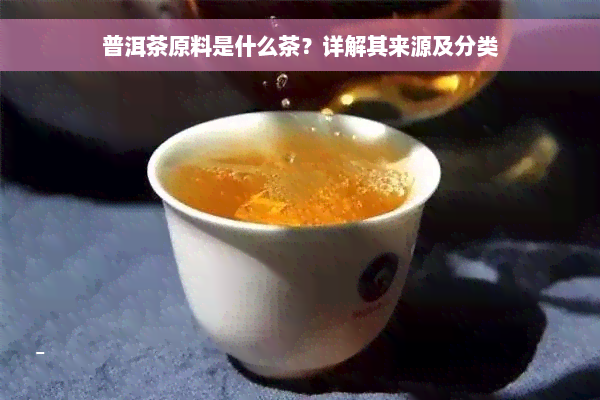 普洱茶原料是什么茶？详解其来源及分类