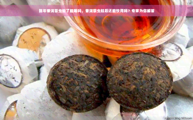 陈年普洱茶虫蛀了能喝吗，普洱茶虫蛀后还能饮用吗？专家为你解答