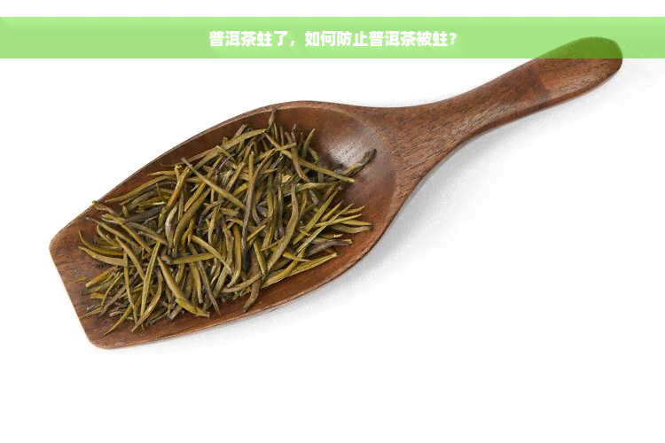 普洱茶蛀了，如何防止普洱茶被蛀？