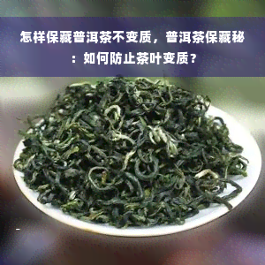 怎样保藏普洱茶不变质，普洱茶保藏秘：如何防止茶叶变质？