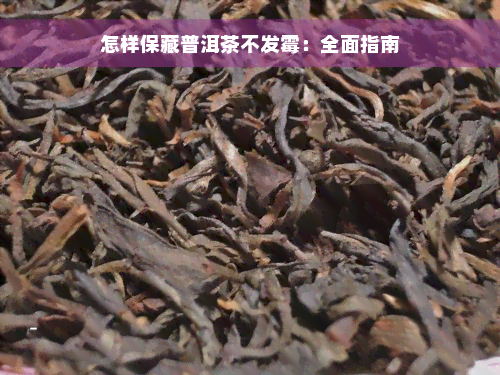 怎样保藏普洱茶不发霉：全面指南