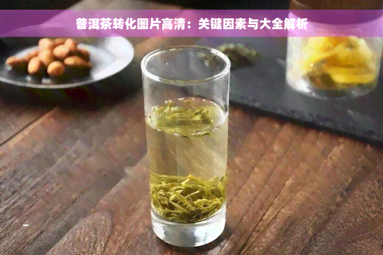 普洱茶转化图片高清：关键因素与大全解析