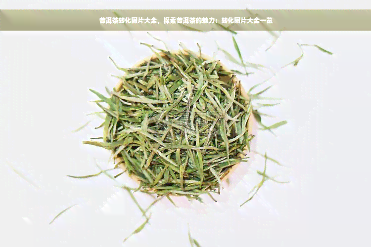 普洱茶转化图片大全，探索普洱茶的魅力：转化图片大全一览