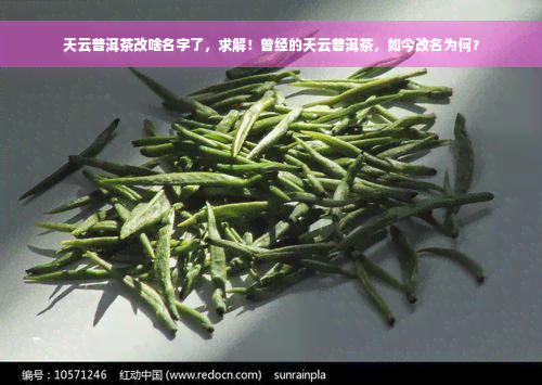 天云普洱茶改啥名字了，求解！曾经的天云普洱茶，如今改名为何？