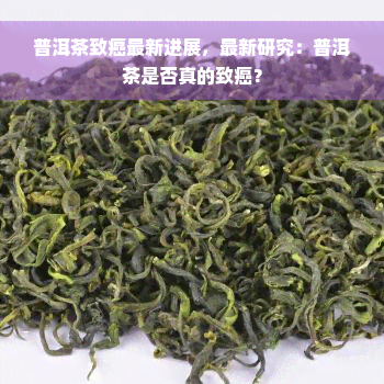 普洱茶致癌最新进展，最新研究：普洱茶是否真的致癌？