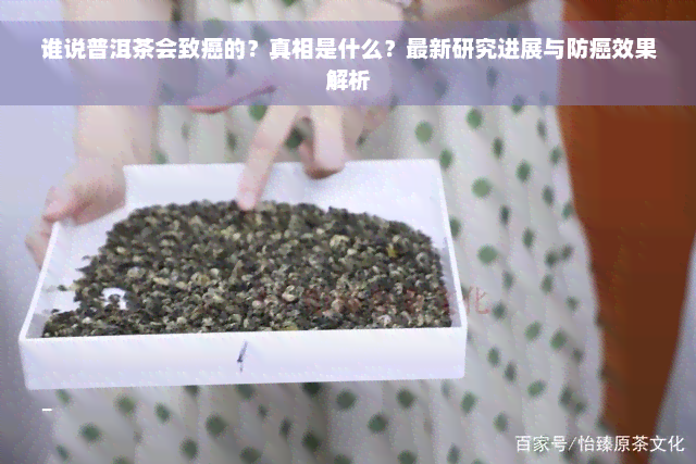 谁说普洱茶会致癌的？真相是什么？最新研究进展与防癌效果解析