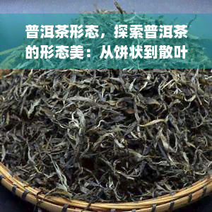 普洱茶形态，探索普洱茶的形态美：从饼状到散叶，一探究竟