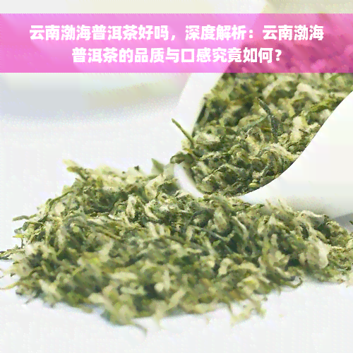 云南渤海普洱茶好吗，深度解析：云南渤海普洱茶的品质与口感究竟如何？