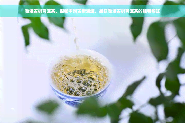 渤海古树普洱茶，探秘中国古老海域，品味渤海古树普洱茶的独特韵味