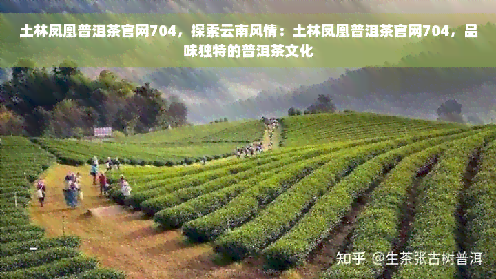 土林凤凰普洱茶官网704，探索云南风情：土林凤凰普洱茶官网704，品味独特的普洱茶文化