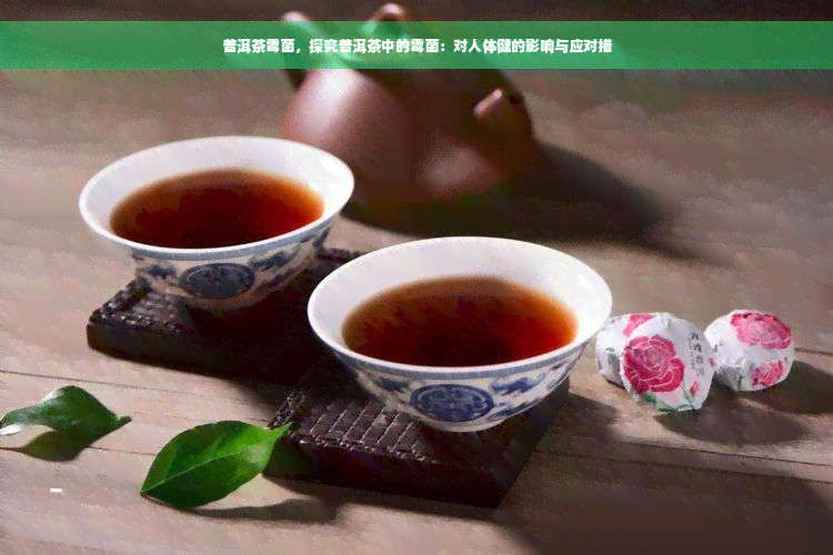 普洱茶霉菌，探究普洱茶中的霉菌：对人体健的影响与应对措