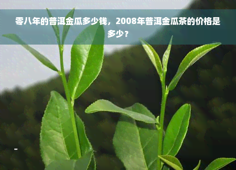 零八年的普洱金瓜多少钱，2008年普洱金瓜茶的价格是多少？