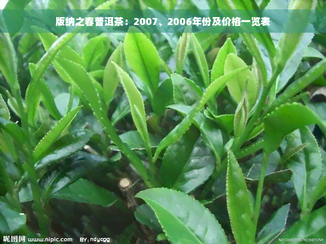 版纳之春普洱茶：2007、2006年份及价格一览表