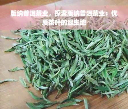 版纳普洱茶业，探索版纳普洱茶业：优质茶叶的诞生地